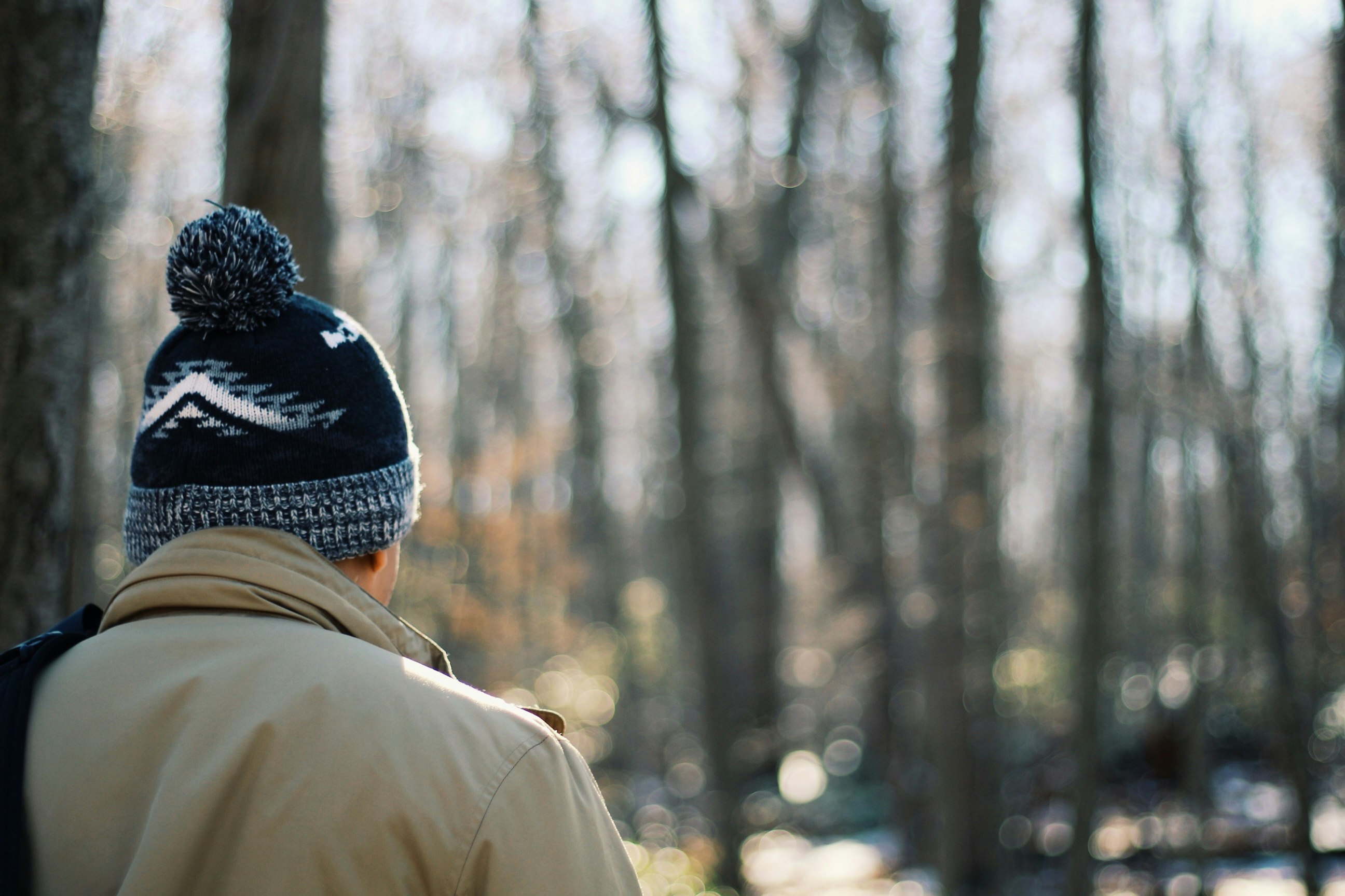 person facing trees